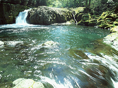 「立山の天然水」へのこだわり　｜　富山　すし　団体